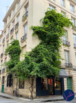A Parisian corner building on Île Saint-Louis with lush green vines and trees growing up the stone façade.